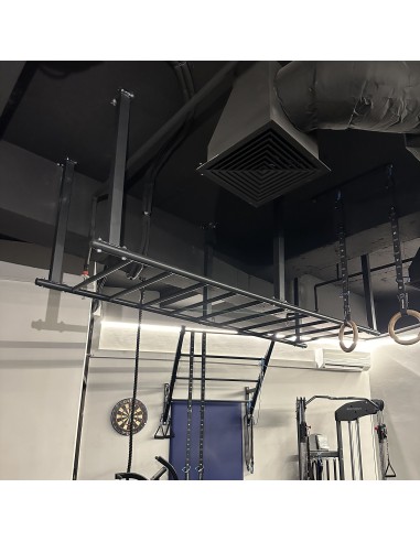 Custom Ceiling Mounted Monkey Bar