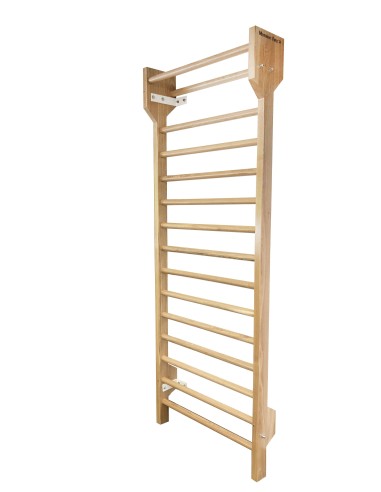 Professional Swedish Ladder Wall Bar (with installation)