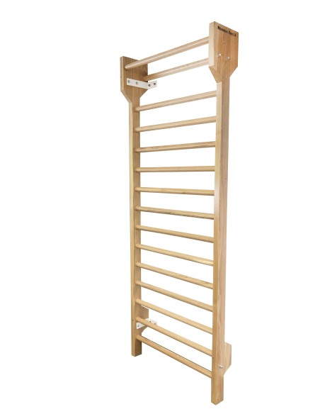 Professional Swedish Ladder Wall Bar (with installation)