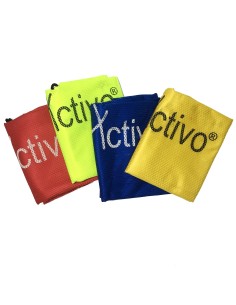 Ball Carry Bag (Activo) 2