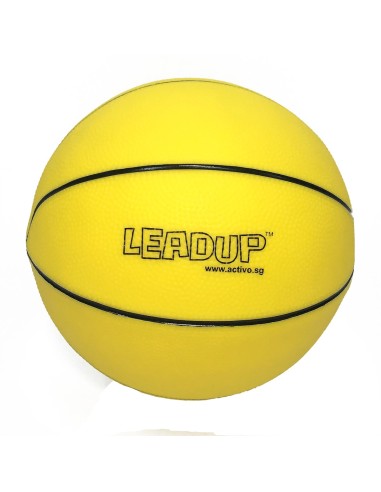 Lead Up Basketball