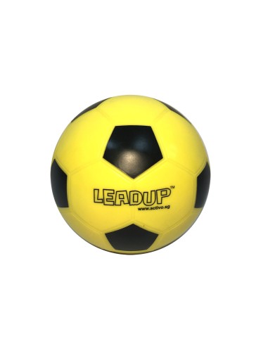 Lead Up Soccer Ball