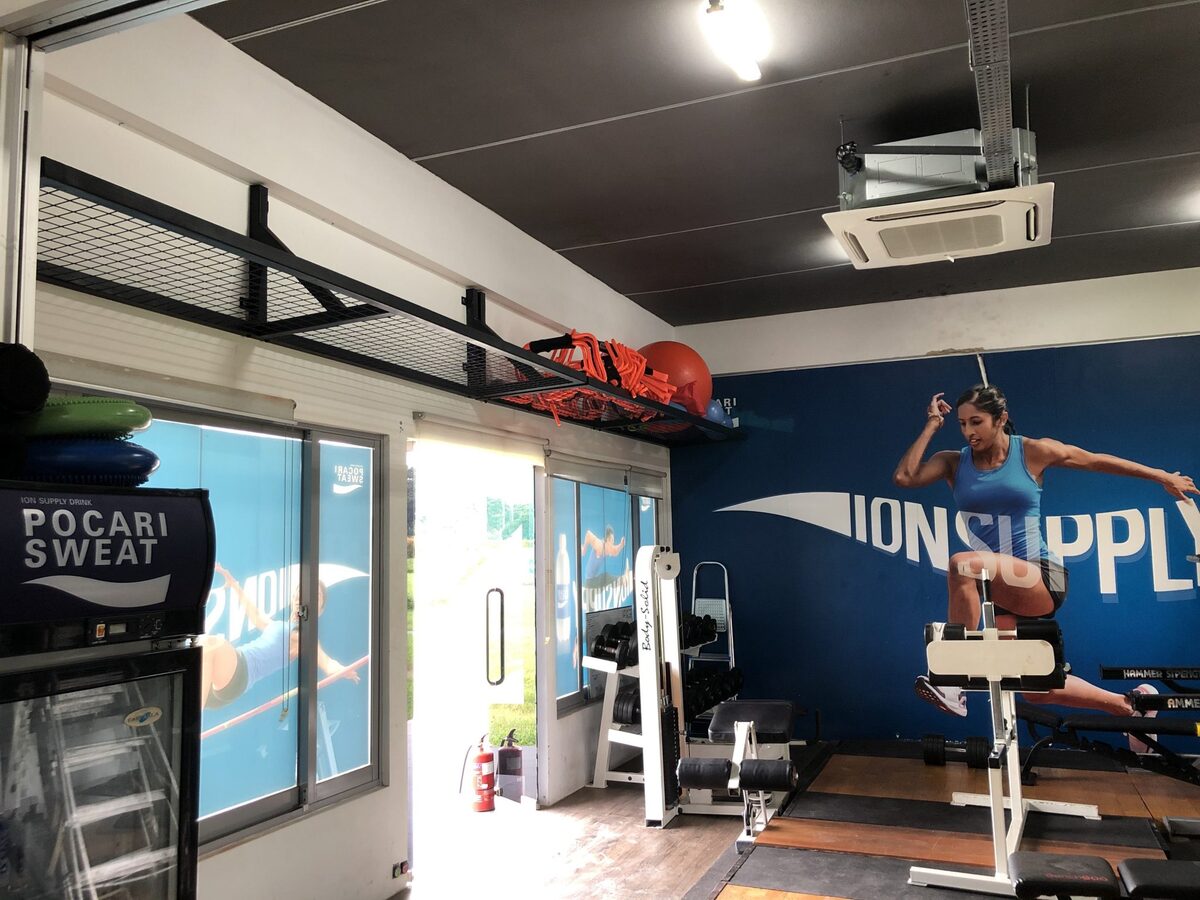 Wall-mounted equipment storage and suspension trainer rack